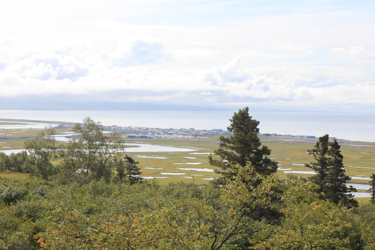 Unalakleet seen through the sparse trees and foliage of the Alaska sub-Arctic