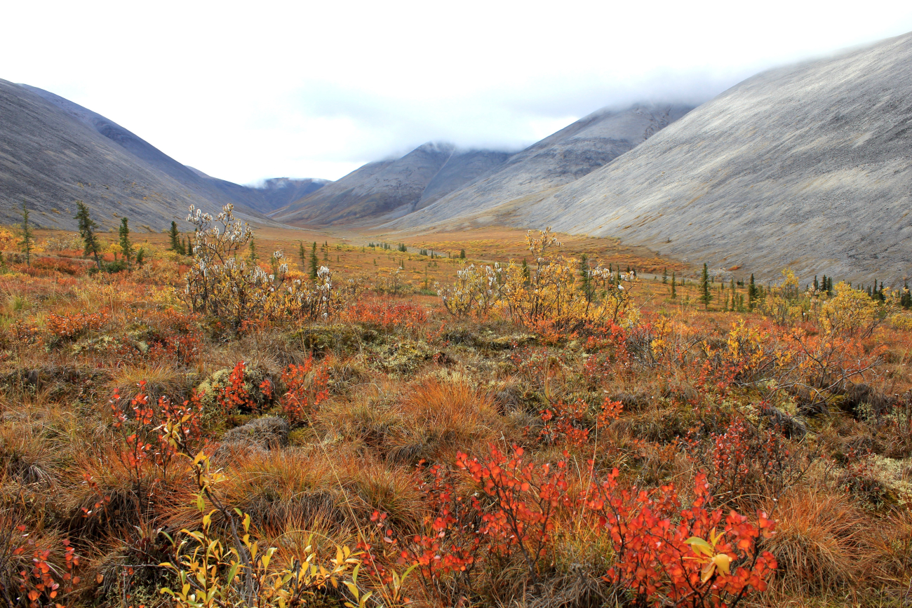 Looking into Windy Pass Valley along the Dempster Highway