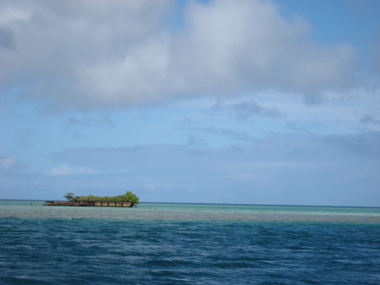 A deserted barge left on the reef which has become a vegetated islet