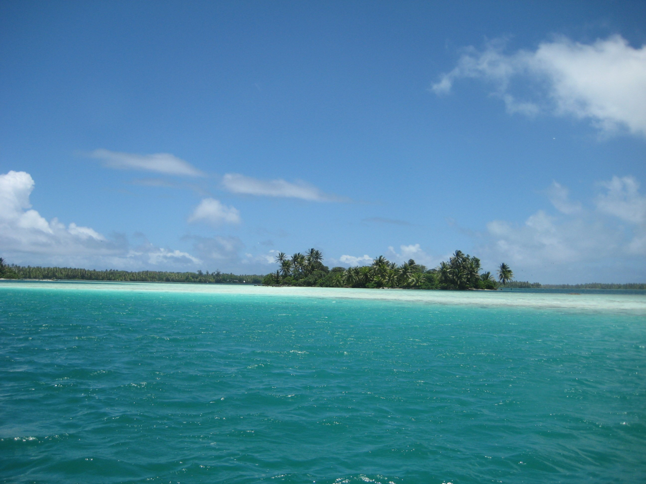 In the shallow aquamarine waters of the lagoon at Palmyra Island