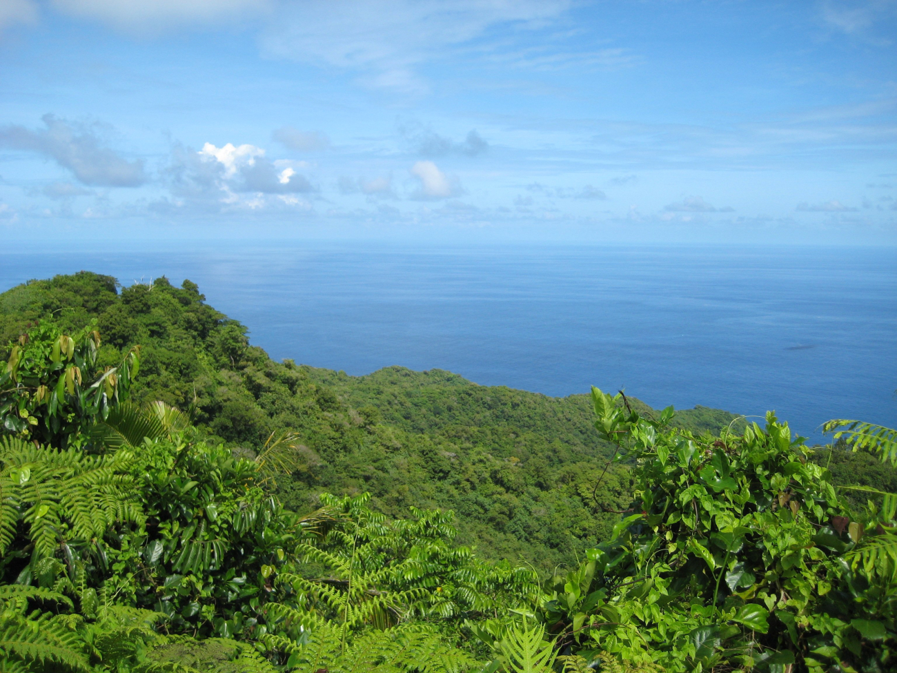 A view over the lush Samoan vegetation to the Pacific Ocean