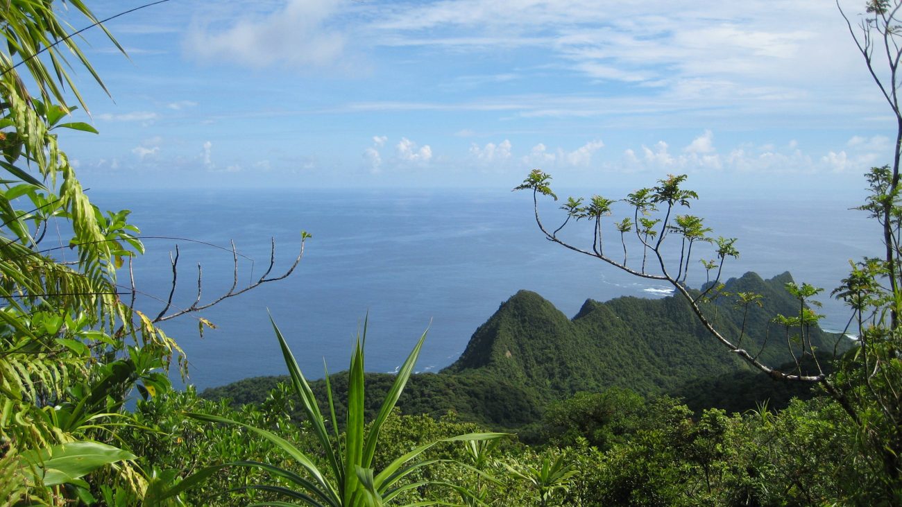 A view over the lush Samoan vegetation to the Pacific Ocean