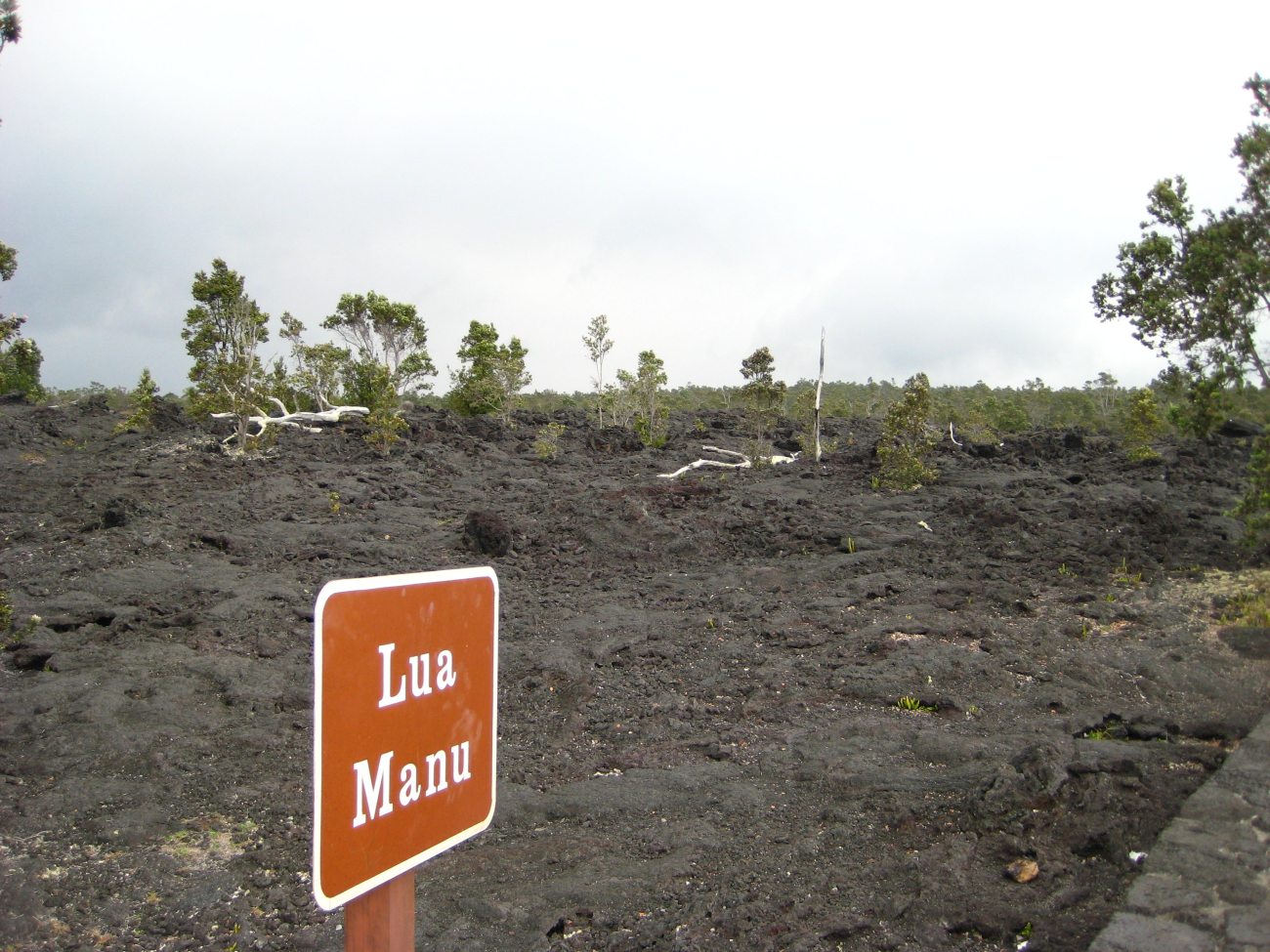 The Lua Manu Crater along the Chain of Craters scenic drive