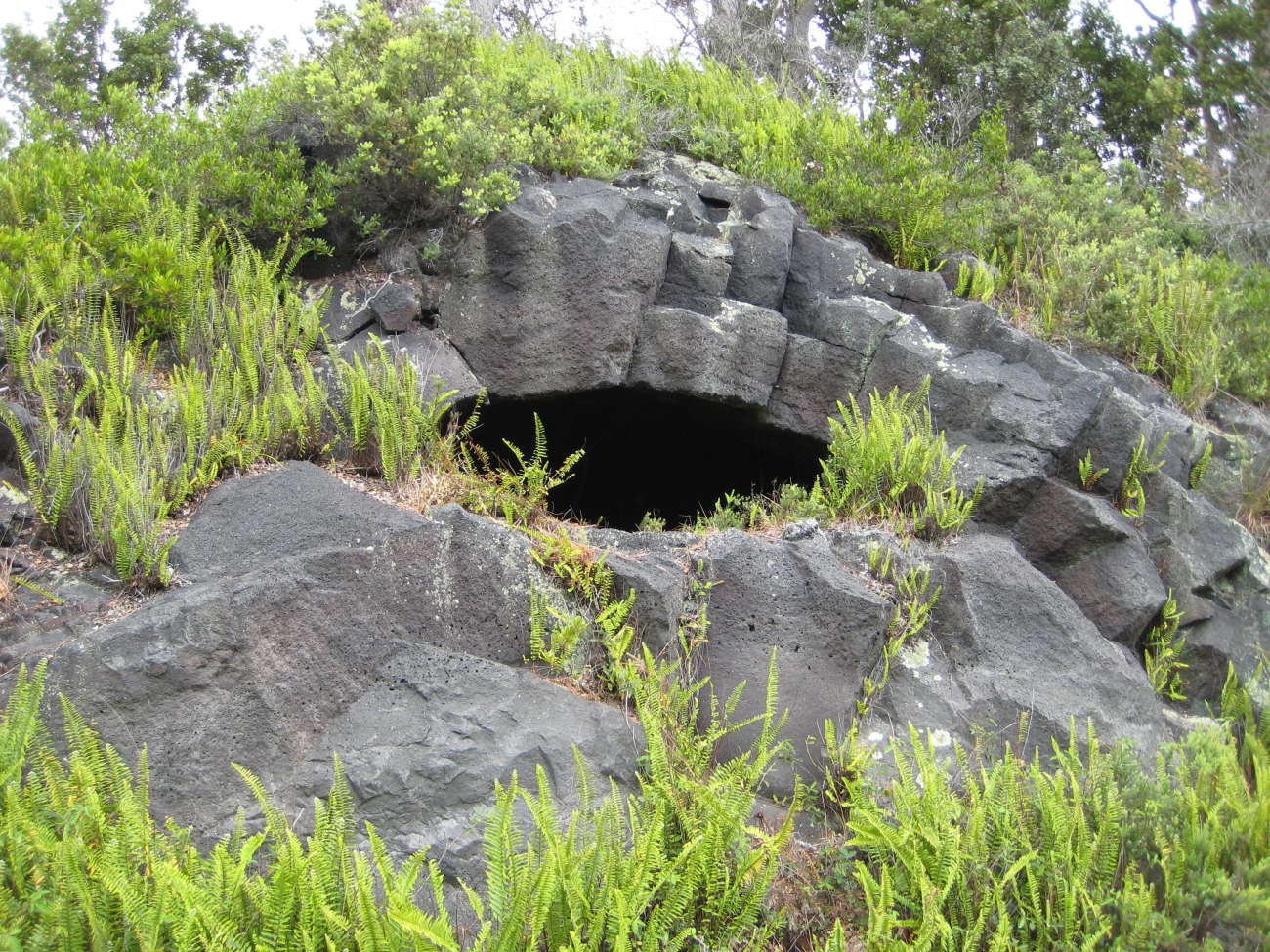 A lava tube forming a cave