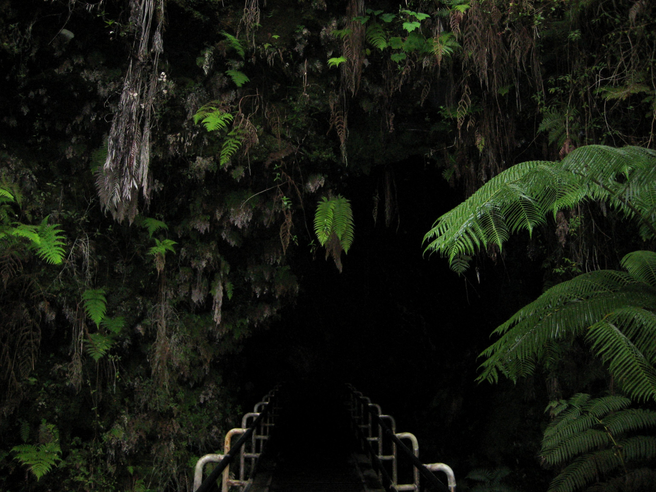 The entrance to Thurston Lava tube