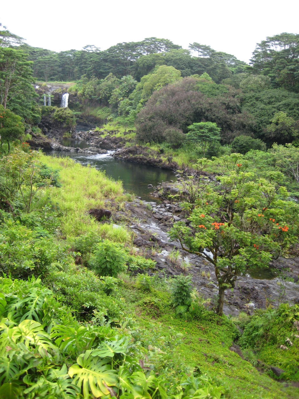 Lush Hawaiian foliage and waterfall
