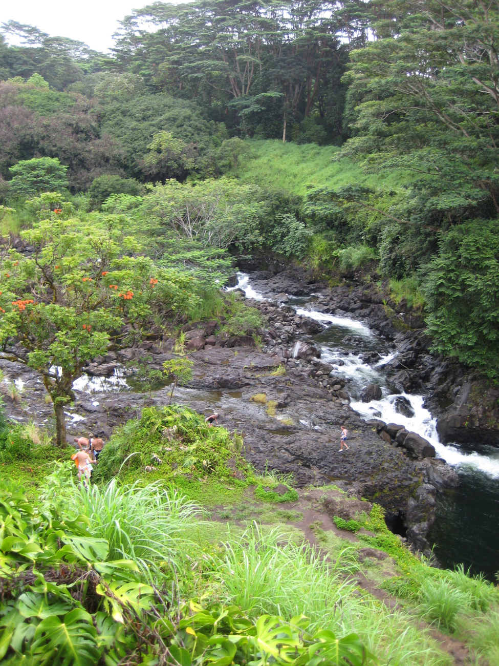 Hikers heading for swimming hole through lush Hawaiian foliage