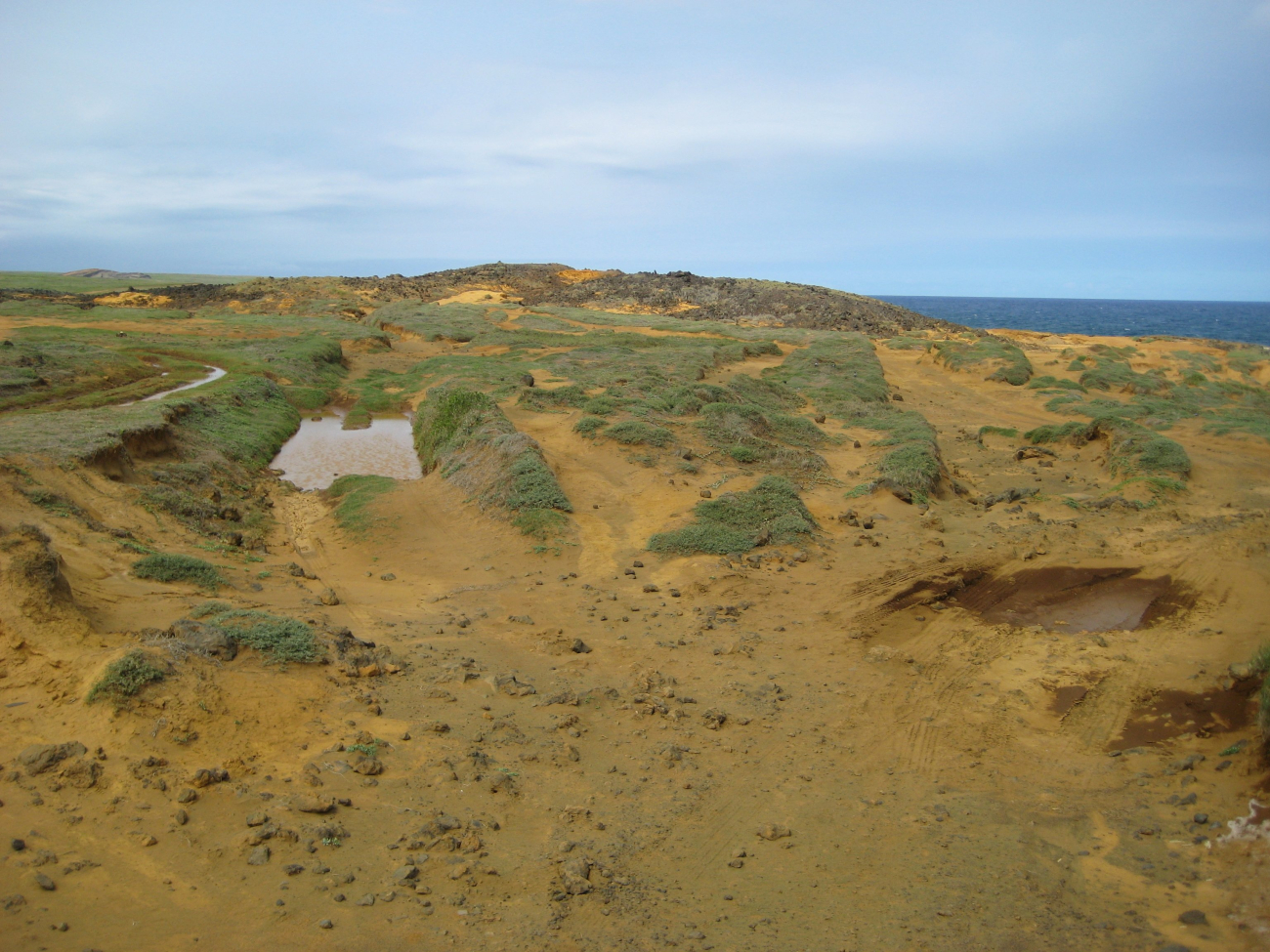 Erosion along coastal dune field