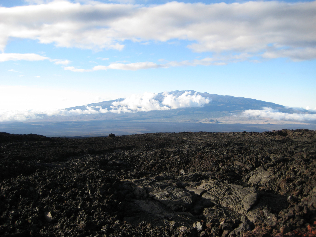 Looking across lava fields to Mauna Loa, the tallest mountain on earth from base to peak
