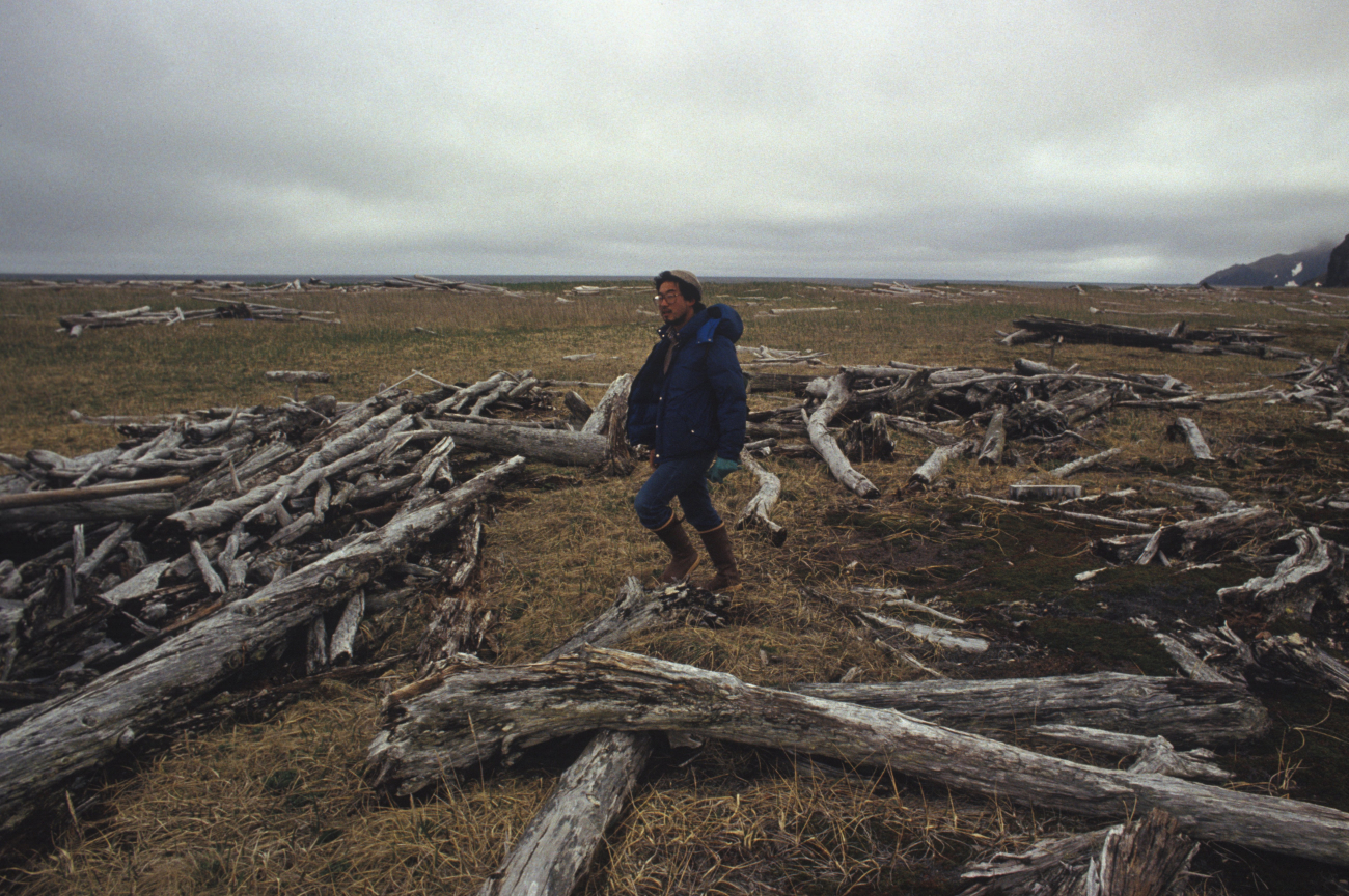 Allen Shimada with driftwood thrown up on the shores of an Aleutian Island bypowerful North Pacific storms