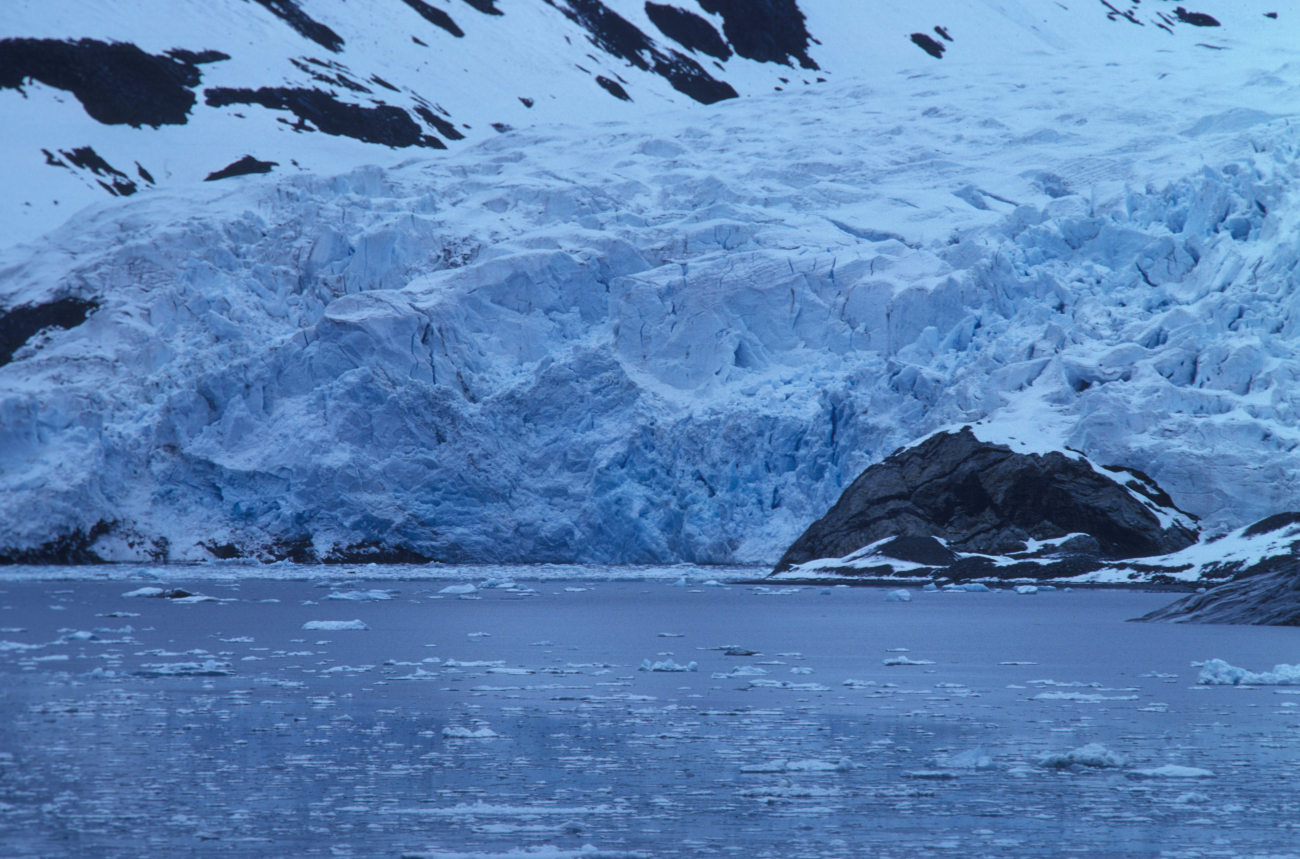 Termination of a glacier in Glacier Bay