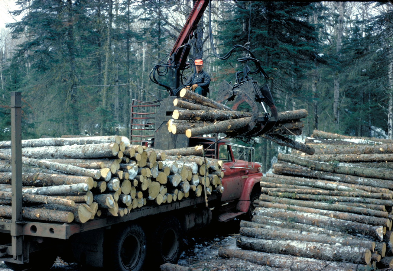 Logging in the Great Lakes region