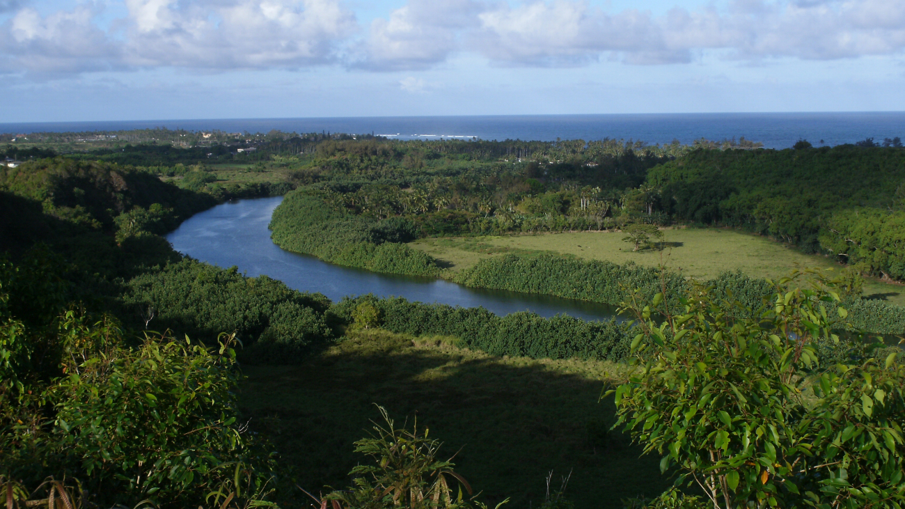Looking down the Wailua River to the sea