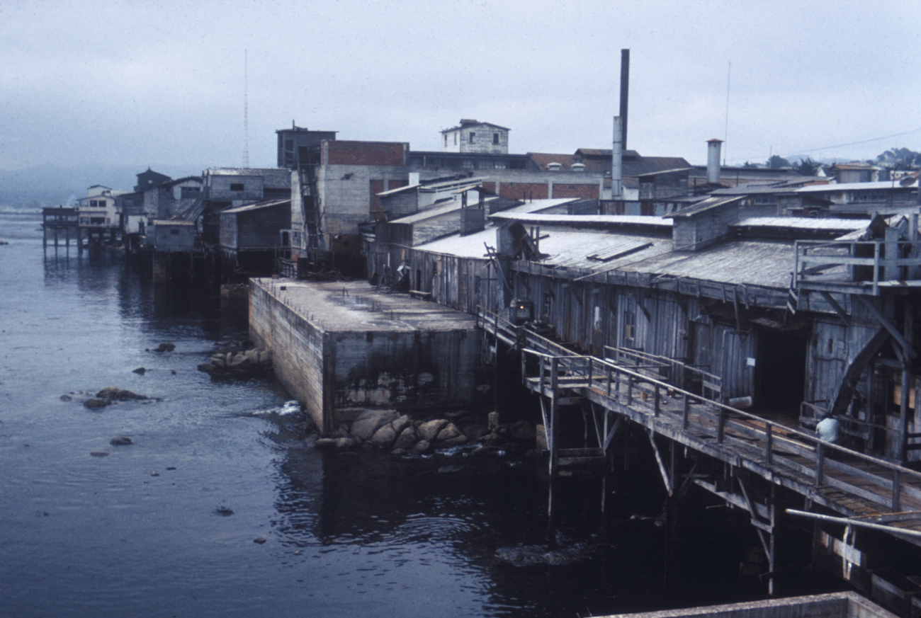 Cannery Row from the ocean side after the sardine fishery failed