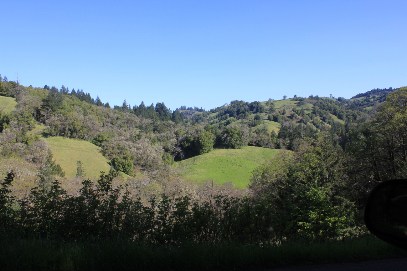 A view into the green hills of the Coast Ranges of northern California in thespring
