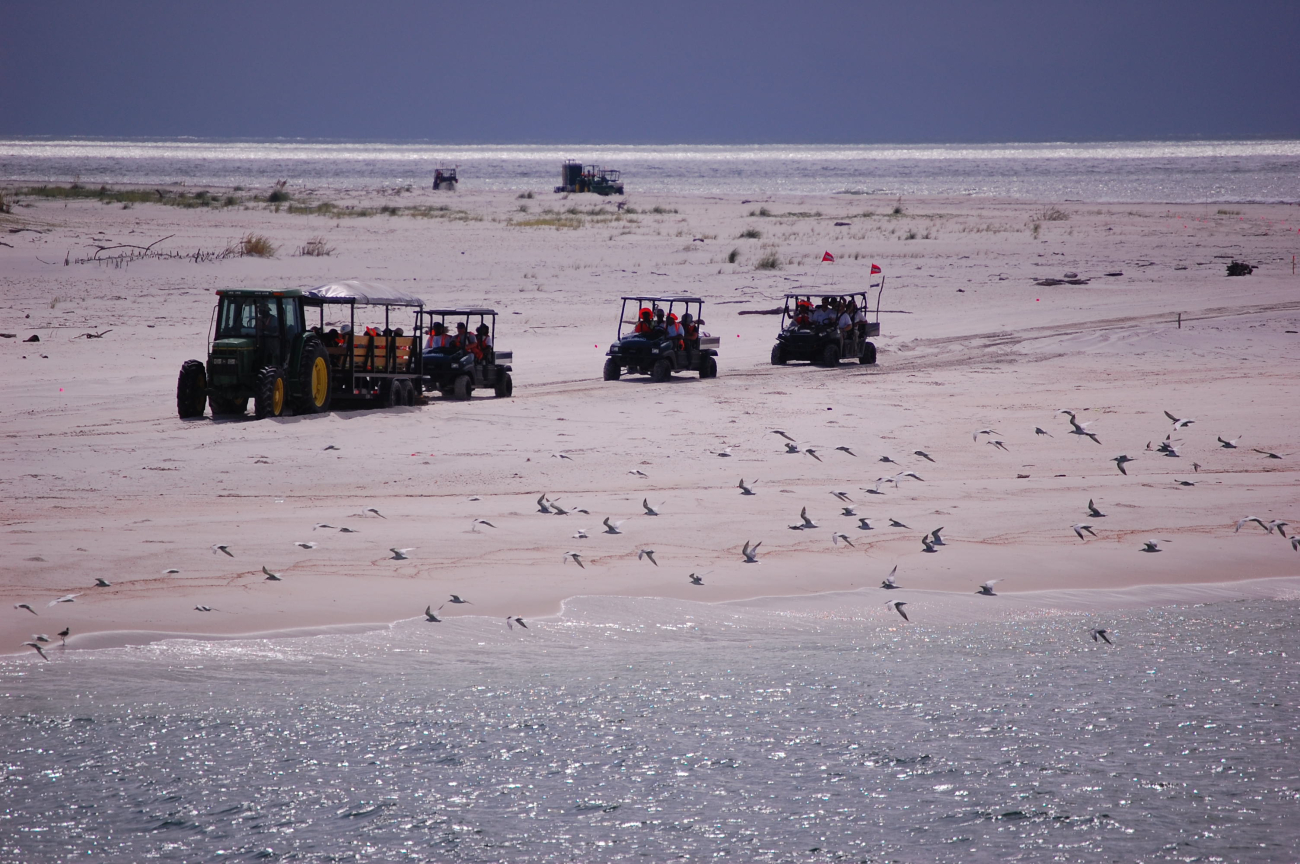 Tractor transportation for workers helping clean beaches following DeepwaterHorizon disaster