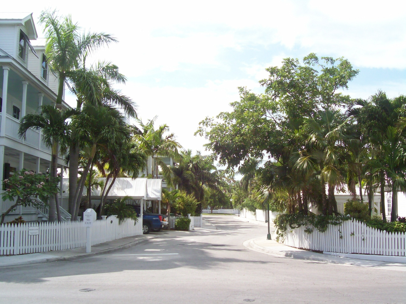 A pleasant Key West street