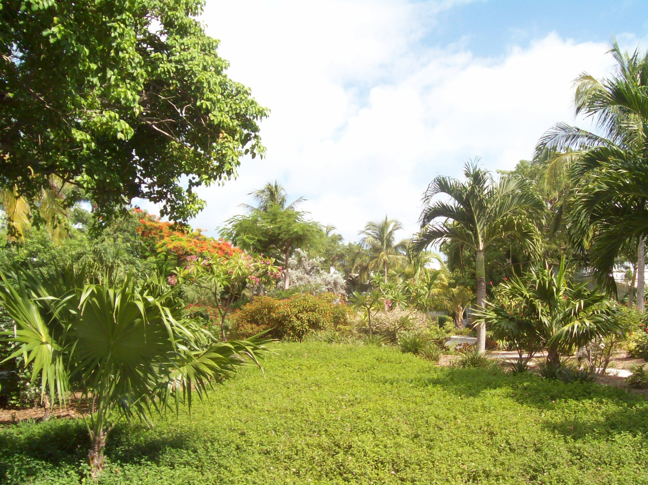 A garden in Key West