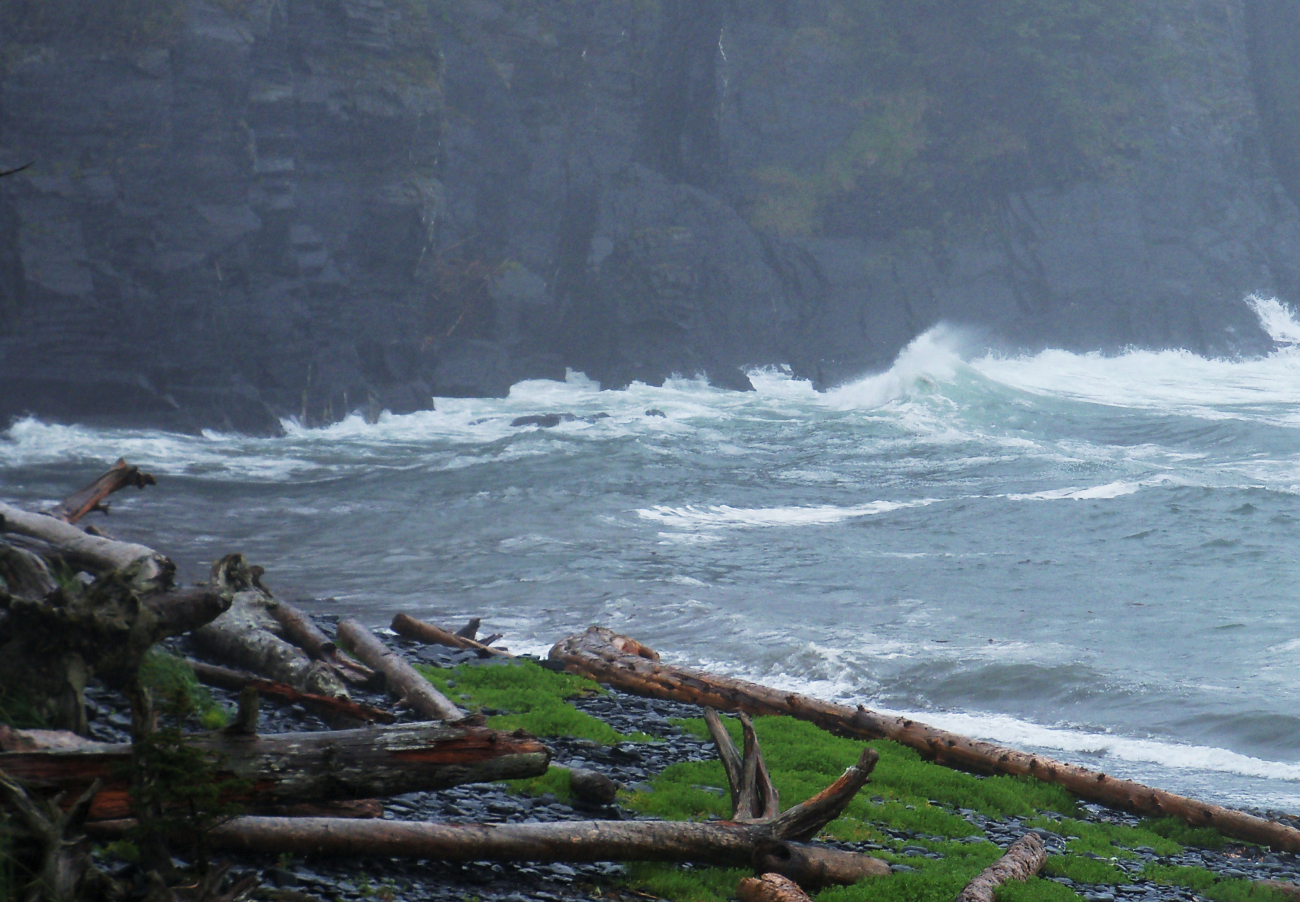 A surf-swept cove with logs pushed high up the rocky shore indicatingthe violence of North Pacific winter storms