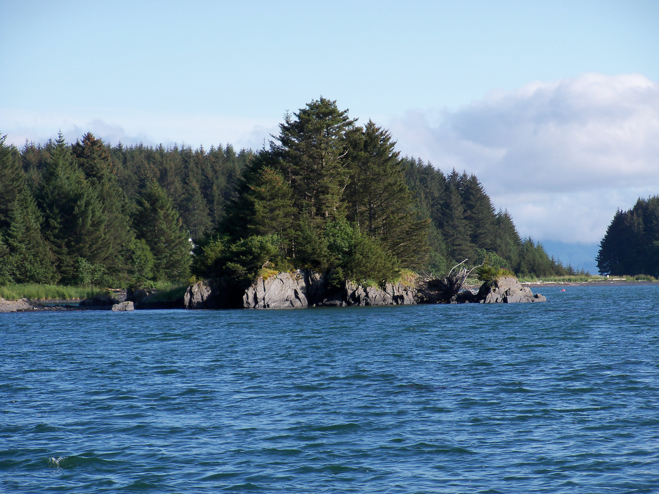 A rocky tree-covered islet along the Kodiak coastline