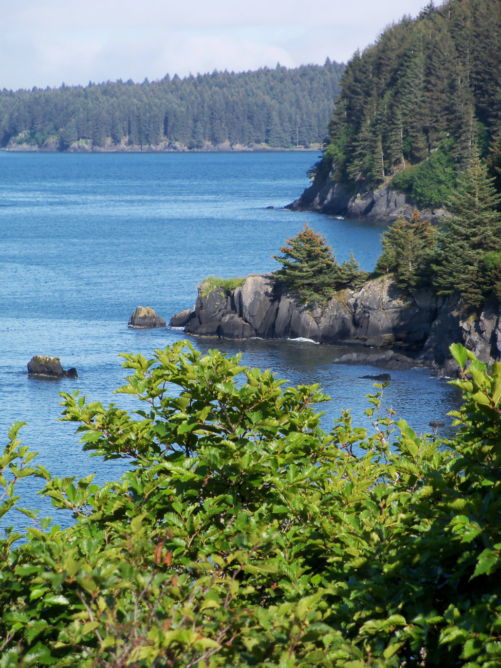 A rockbound coast with an evergreen forest leading to the interior of KodiakIsland