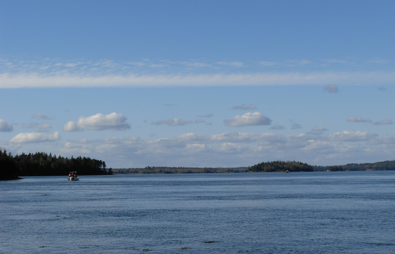 A view of the shoreline of Passamaquoddy Bay