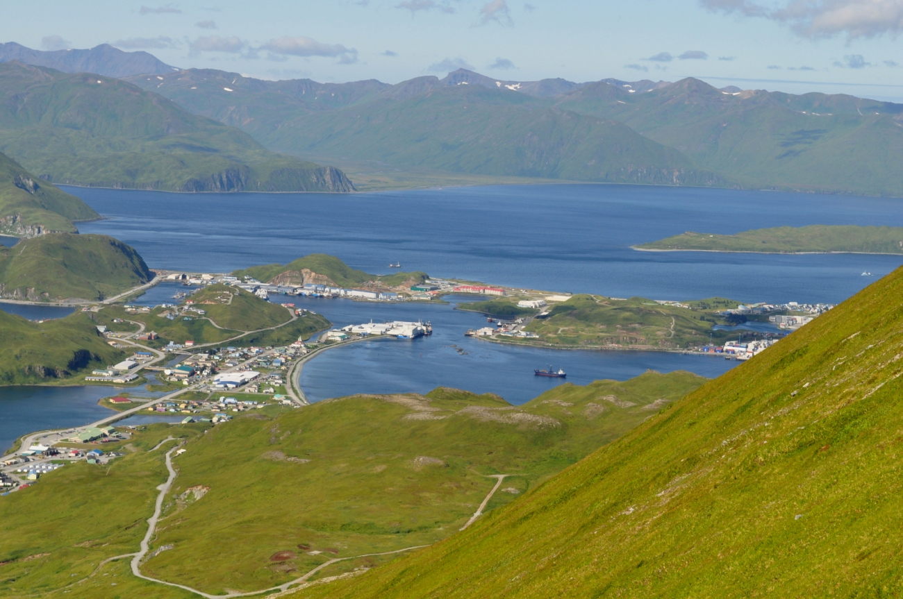 Dutch Harbor seen from the hills above