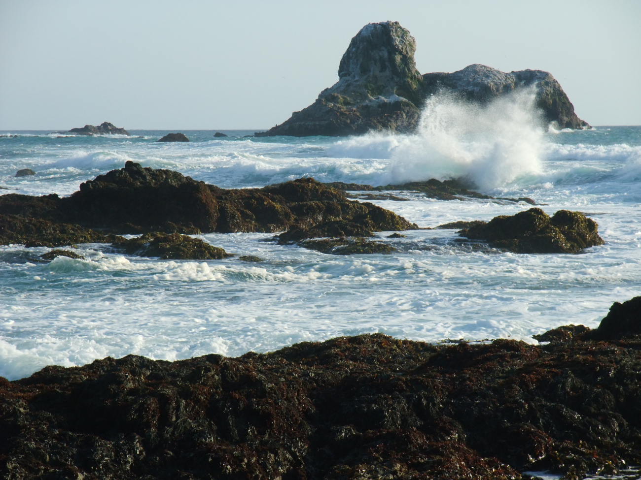 Waves crashing along the rocky tidepools of Point Piedras Blancas
