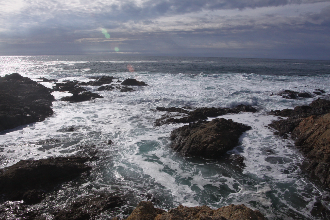 Rocky meeting of land and sea at Point Lobos State Reserve