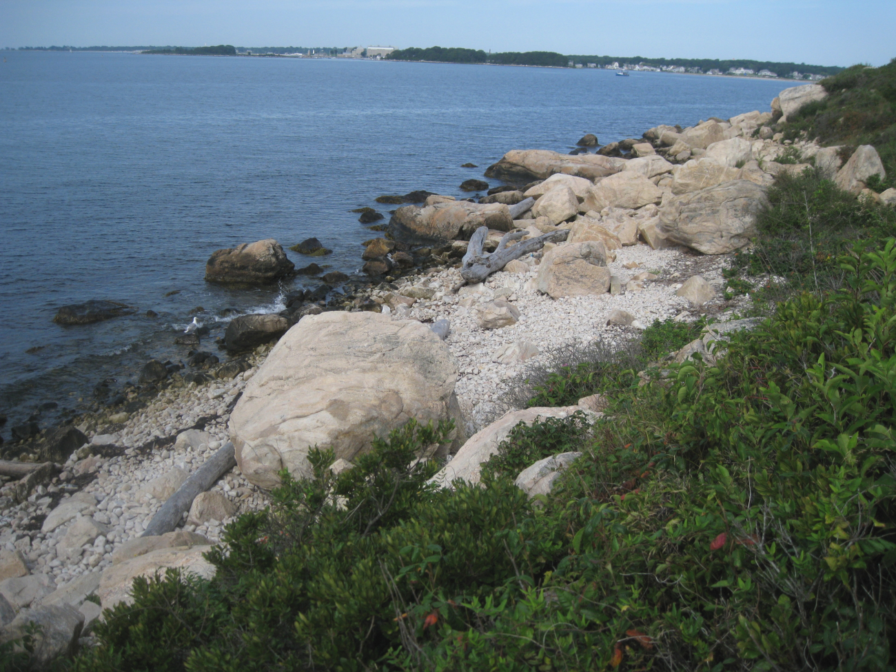 The rocky shoreline at Bluff Point State Park, the last one mile of naturalshoreline in Connecticut