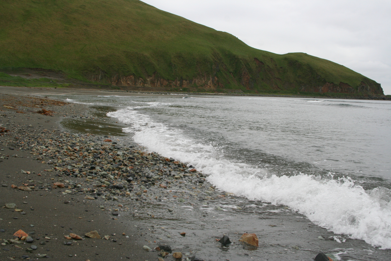 A concentration of cobbles along a Dutch Harbor beach attesting to thesometimes power of the surf here