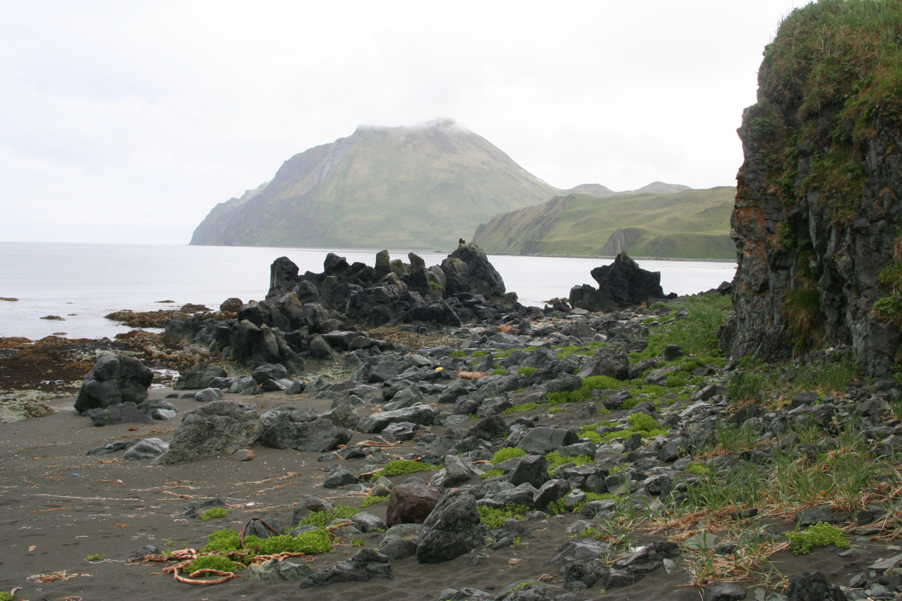 Two eagles perched on the rocks of a Dutch Harbor beach at half-tide