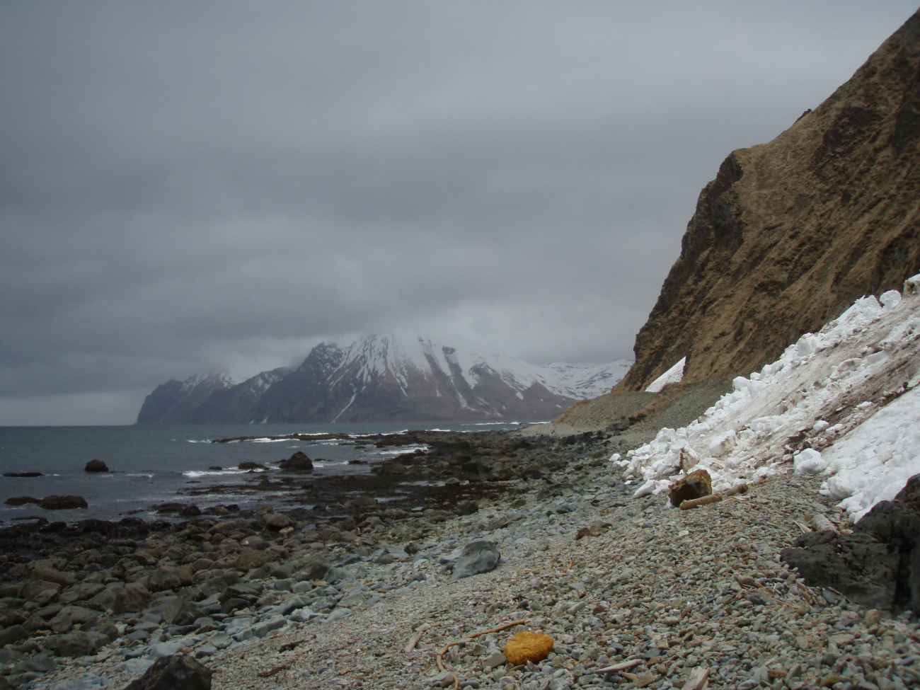 Doesn't look like much sun-bathing is done on this beach! Cobbles, boulders, and snow coming to the base of mountain cliffs along this Aleutian beach
