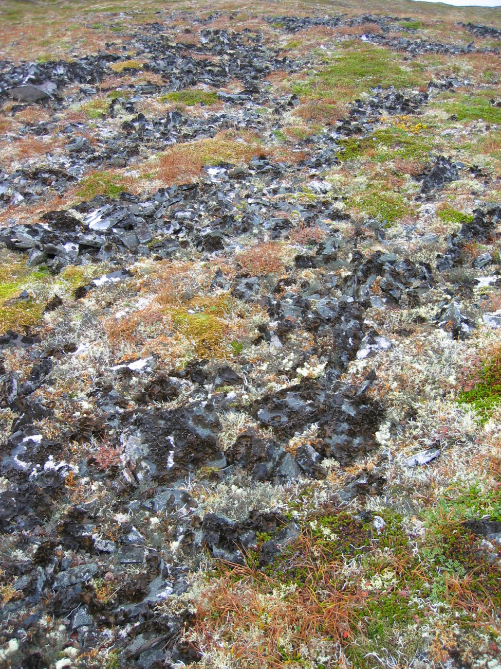 Frost heaved rock fragments on the high lands of St