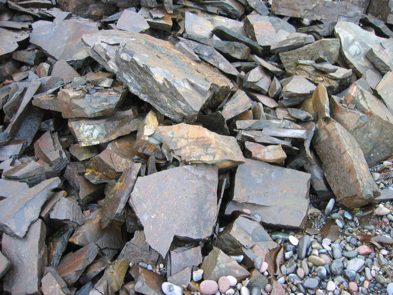A scree slope of angular blocks of rock
