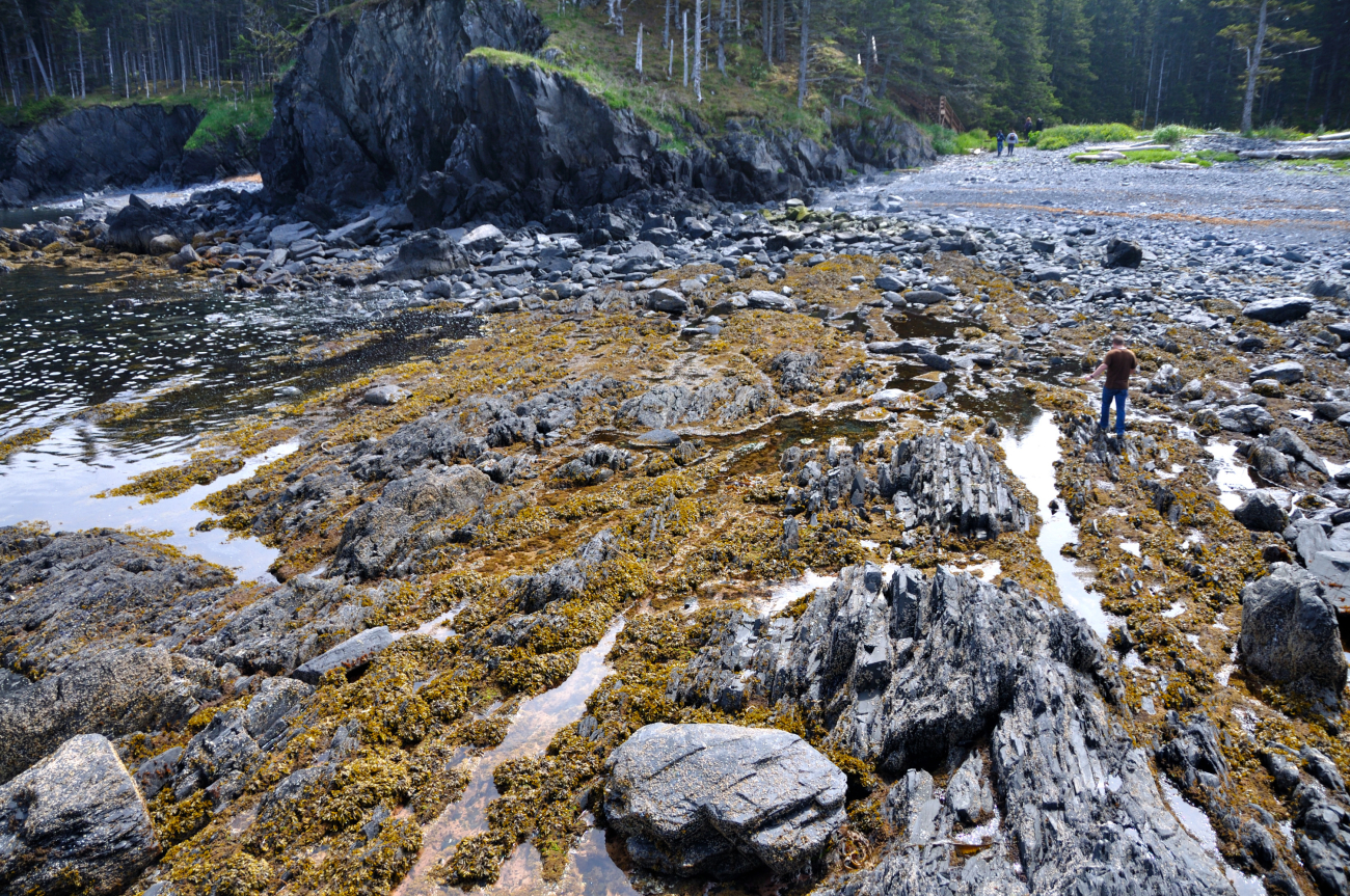 Low tide along the Kodiak coastline