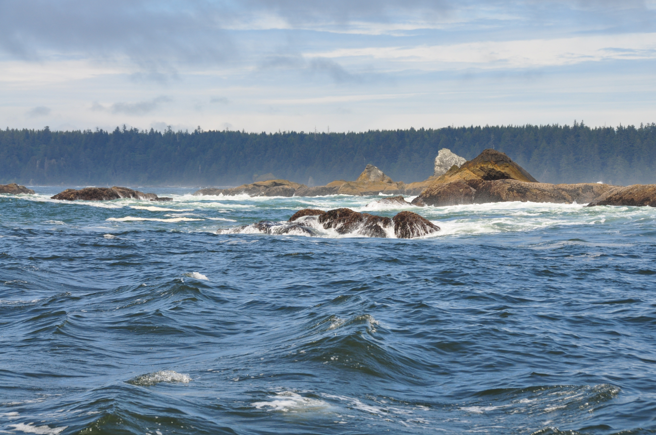 Offshore rocks and spray along the Olympic coast