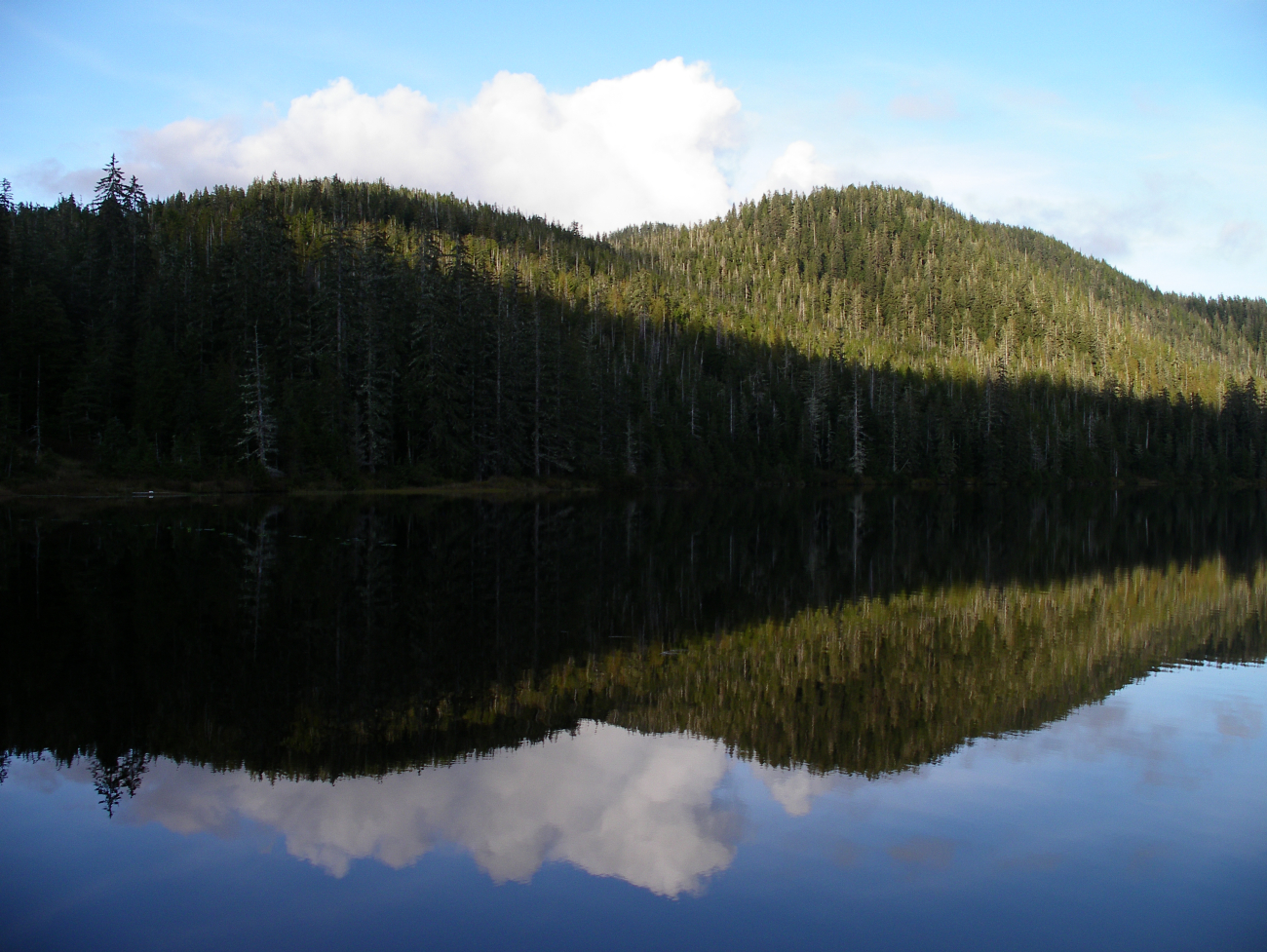 A still evening with reflections at Harriet Hunt Lake near Ketchikan