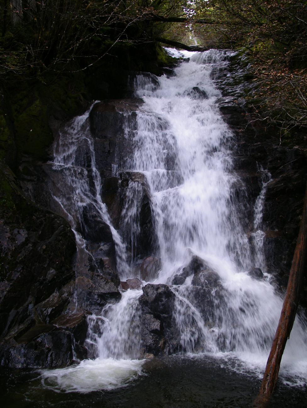 A pretty little waterfall in the Ketchikan area