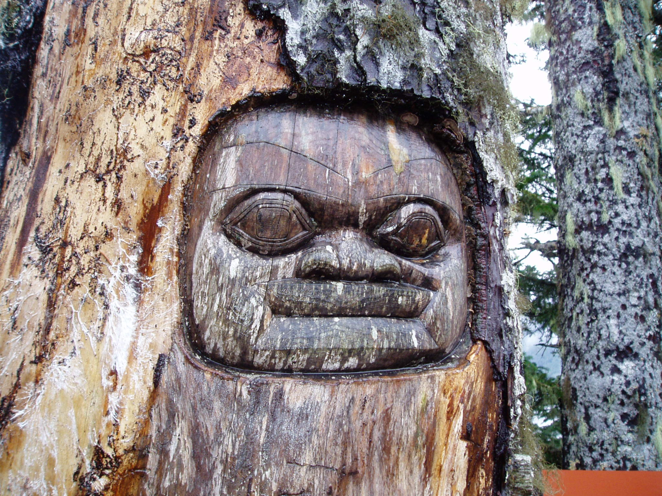 Totem carved into living tree at Sitka