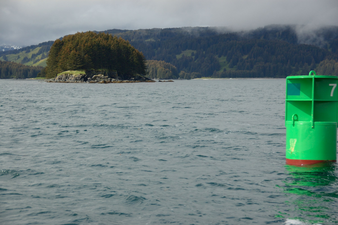 Green buoy 7 along Kodiak coastline