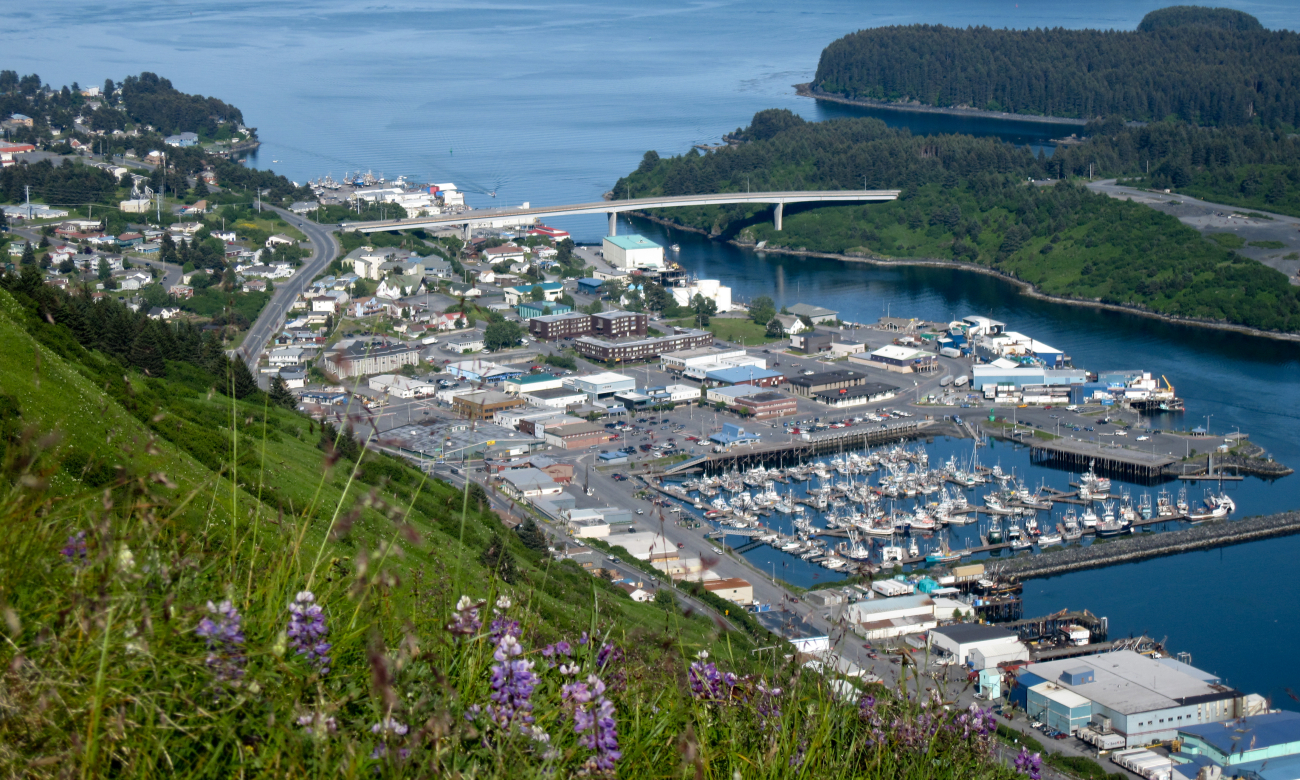 View of Kodiak Harbor from Pillar Mountain