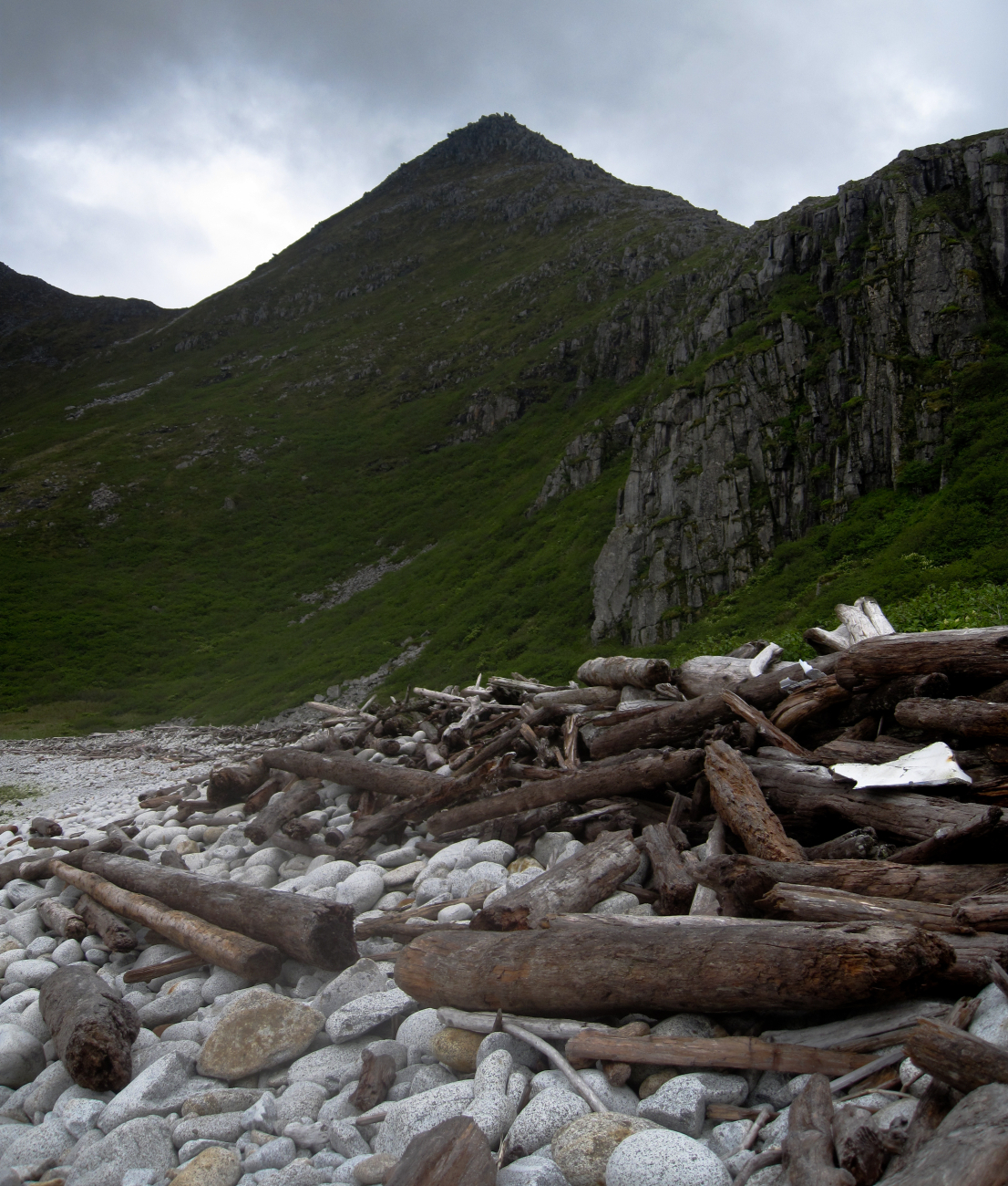 Logs and flotsam carried far up a boulder beach from storms of past winters