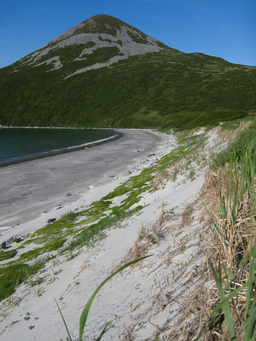 A nice sand beach with dunes behind on a Shumagin Island beach