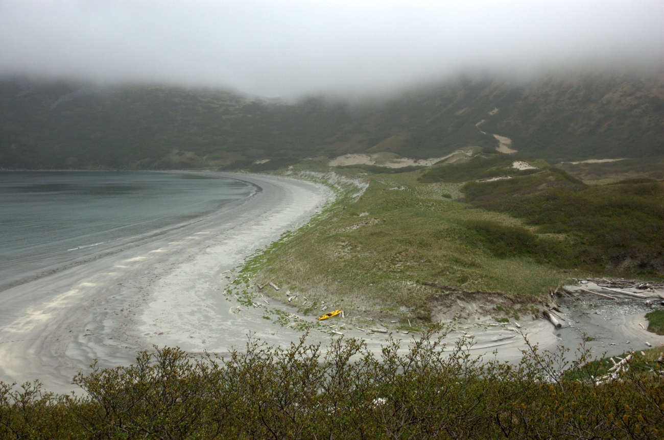 Sand beach and dune line on a Shumagin island