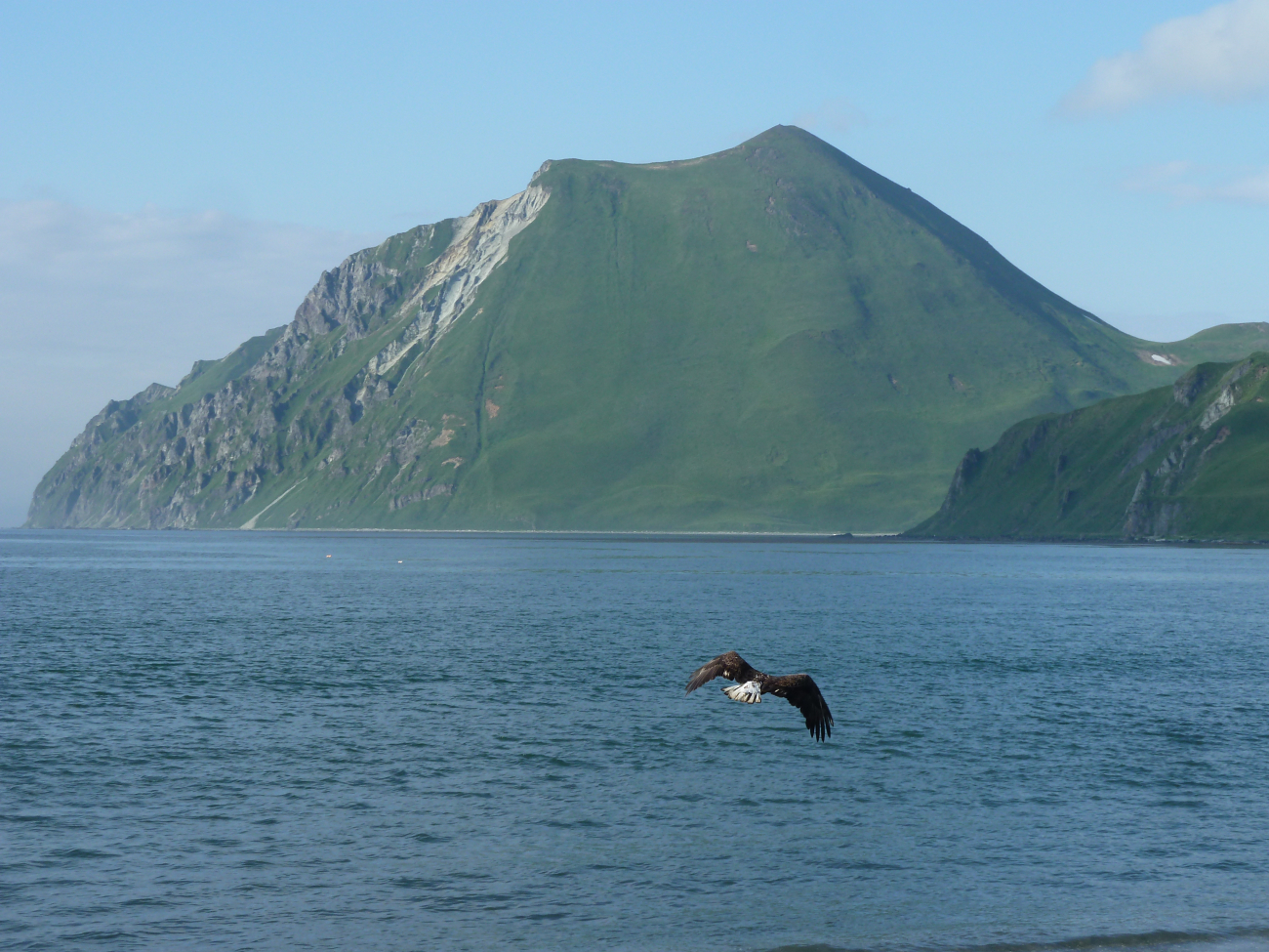 An eagle flying away in the vicinity of Dutch Harbor