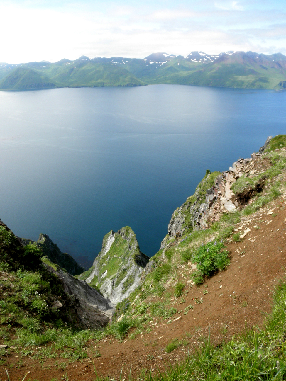 Looking down from an Aleutian cliff to the sea below