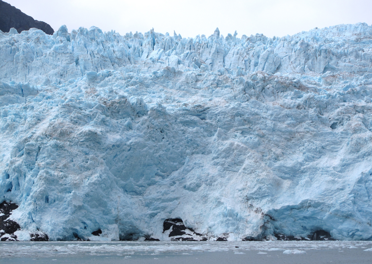 A tidewater glacier with sea otters on the ice for scale!