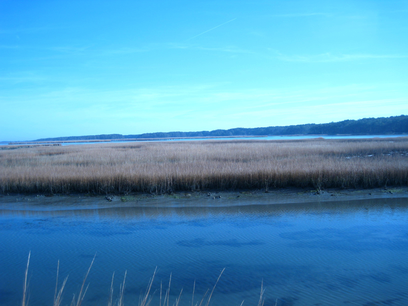 Looking across the wetlands of Chincoteague Bay to Assateague Island