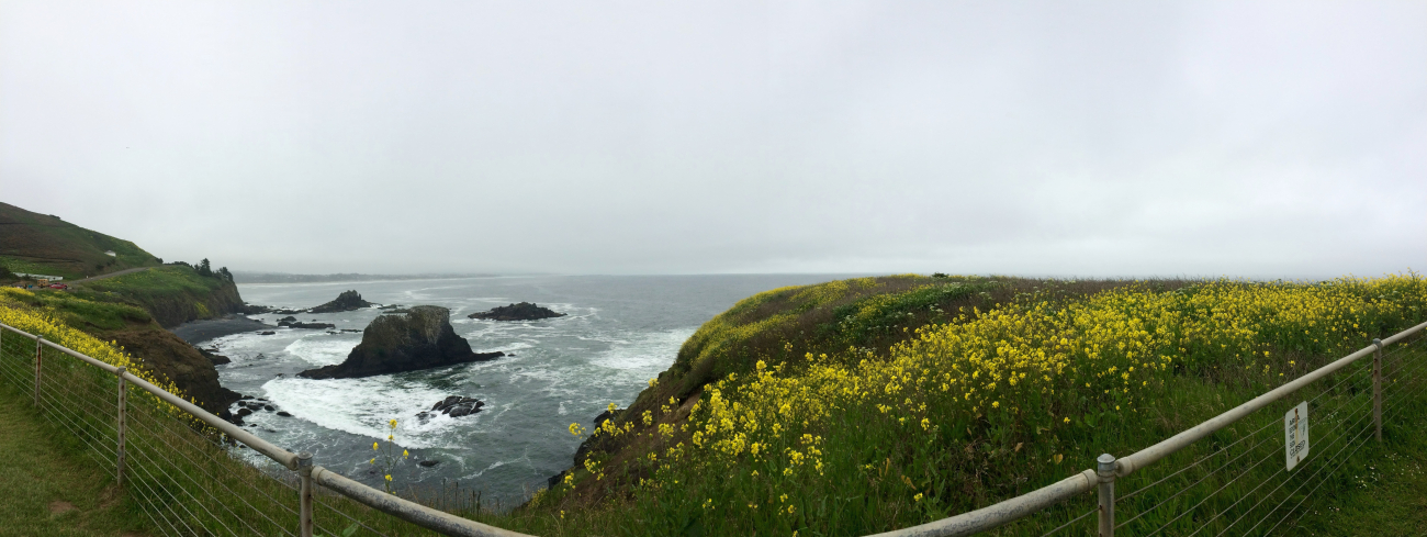 A panoramic view from Yaquina Head - gray whales can often be seen from thepoint on their migration route, one of the longest in the animal kingdom